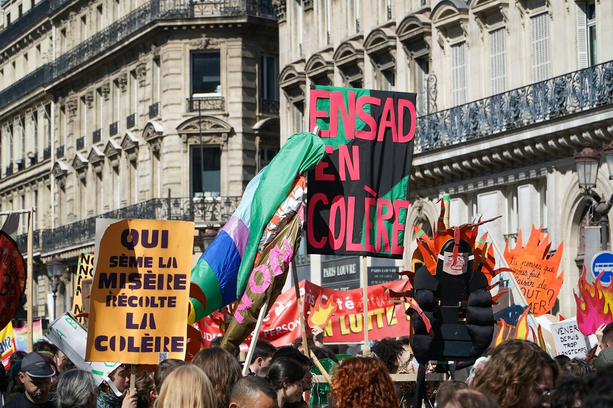Demonstrators with signs and flags in a Paris street