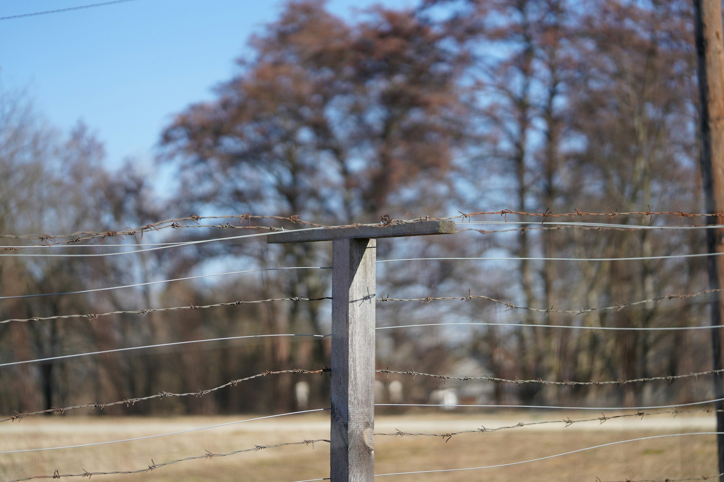 A barbed-wire fence at the edge of an open field